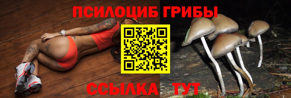 Псилоцибиновые грибы Magic Shrooms  Галлюциногенные грибы Magic Shrooms  Вход с VPN  купить наркотик  Майский 